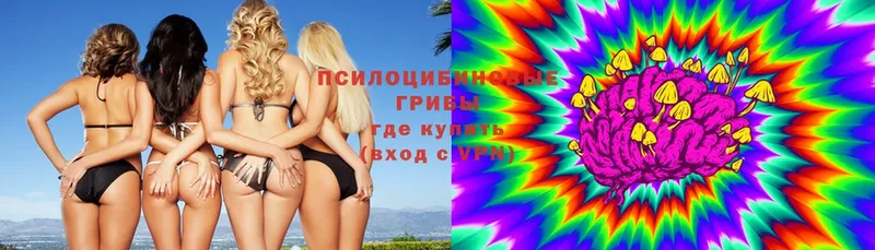 Псилоцибиновые грибы мицелий  мега tor  Межгорье 